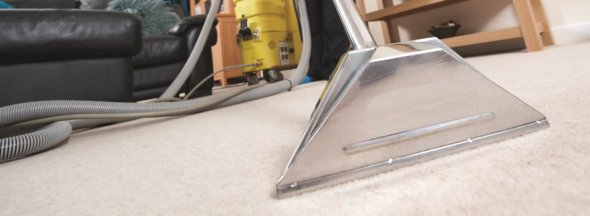 professional carpet cleaning bristol