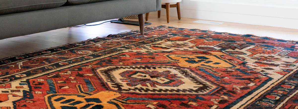 professional rug cleaning bristol